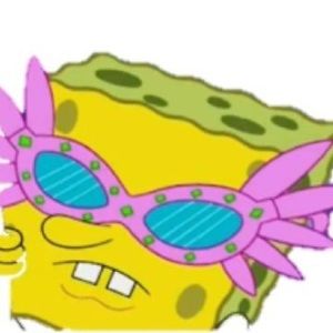 Meet your Posher, Sofia